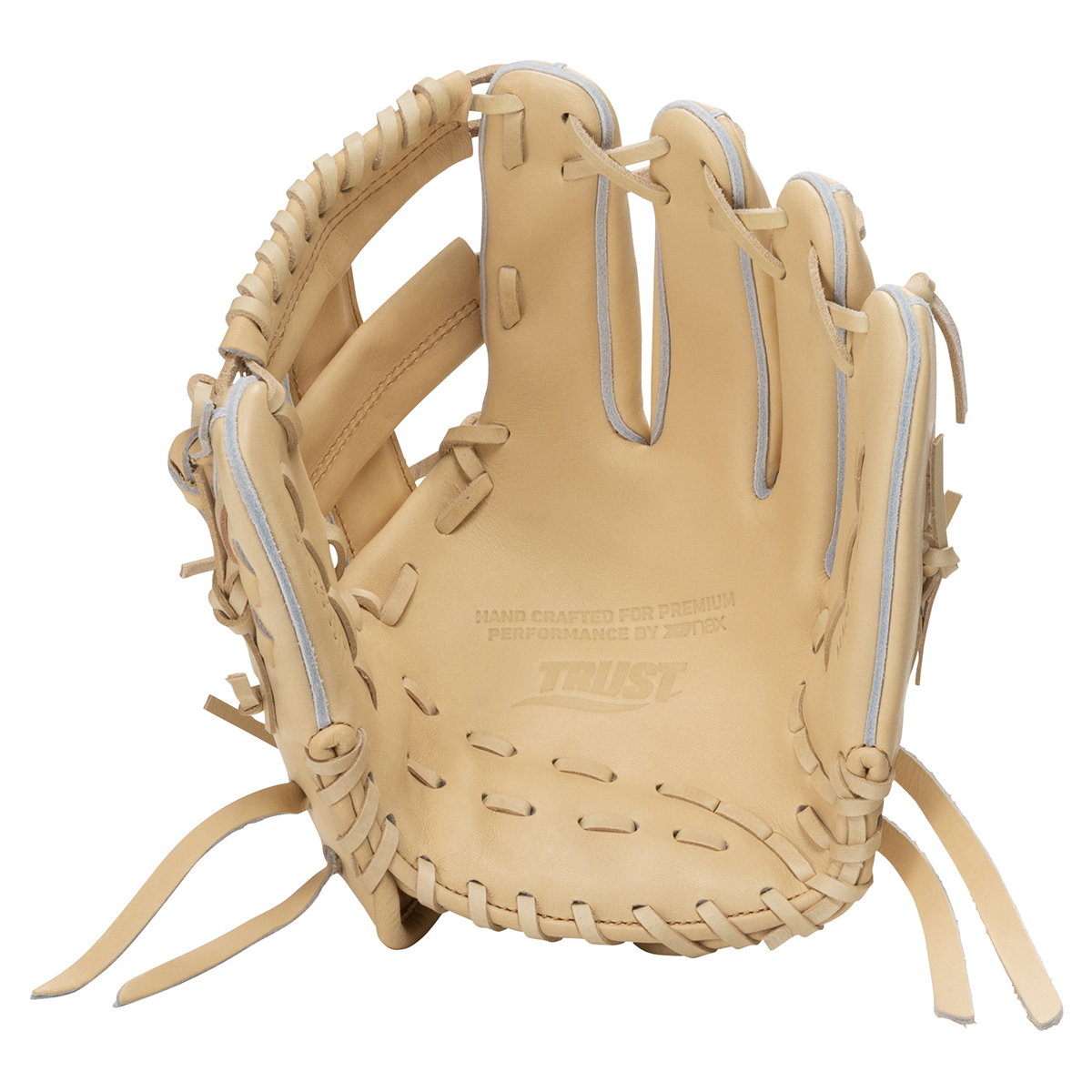 硬式トラスト内野手用グラブ（サイズ29.0cm）【GS1型】｜ザナックス