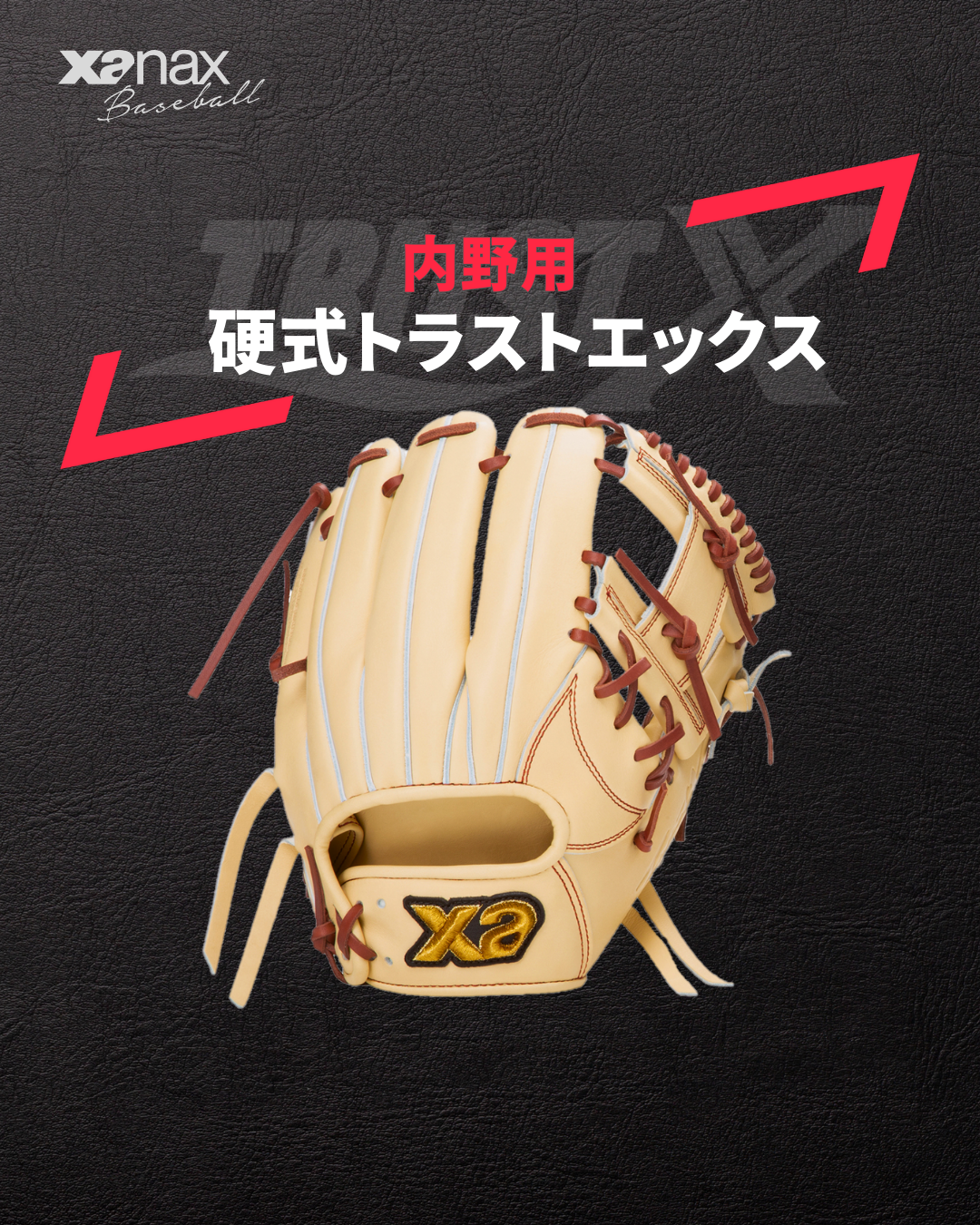 定番 硬式トラストエックス（サイズ28.5cm） 内野手用【IM1型 グローブ